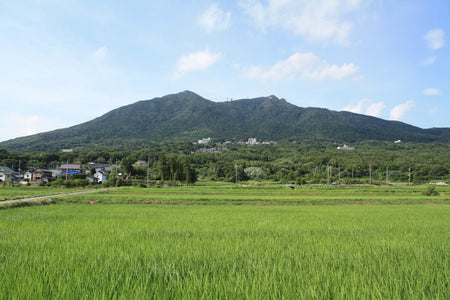 地域に根ざす大穂のほうき|消えゆく伝統を、未来へつなぐために